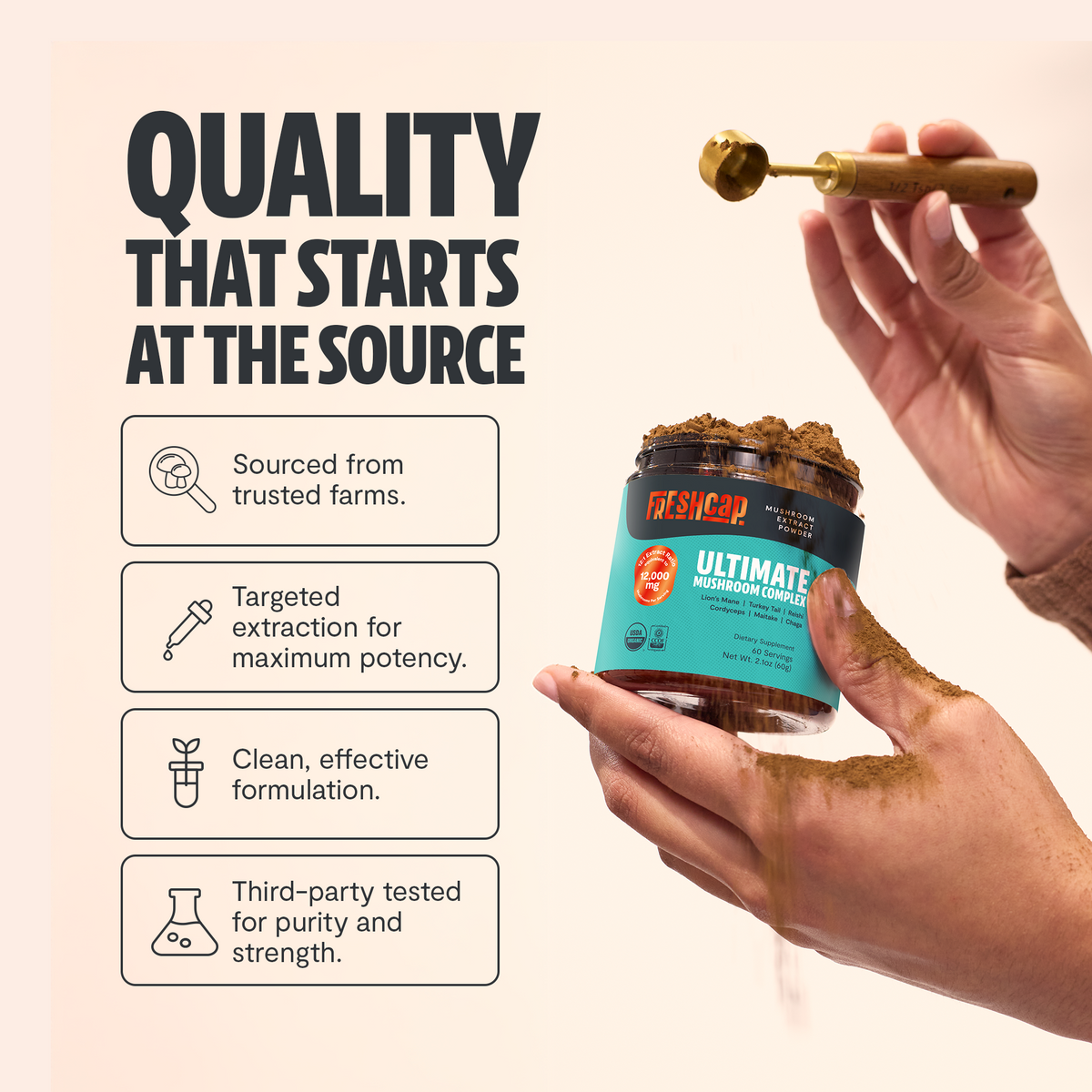 Organic Mushroom Extract Powder Blend
