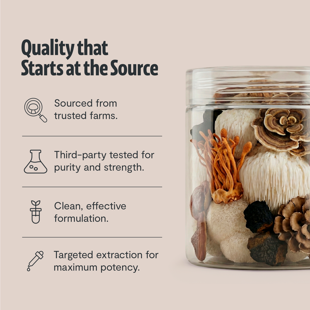 Organic Mushroom Extract Powder Blend